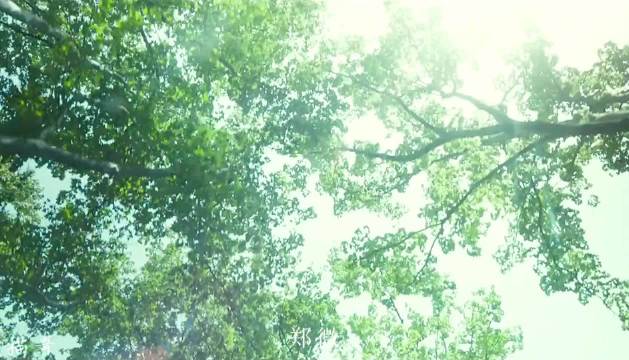 “一身清贫怎能入繁华，两袖清风怎敢误佳人”