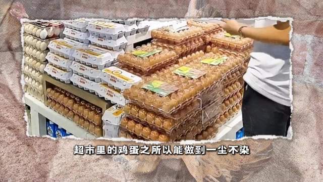 探秘鸡蛋全自动清洗流程，比脸还干净