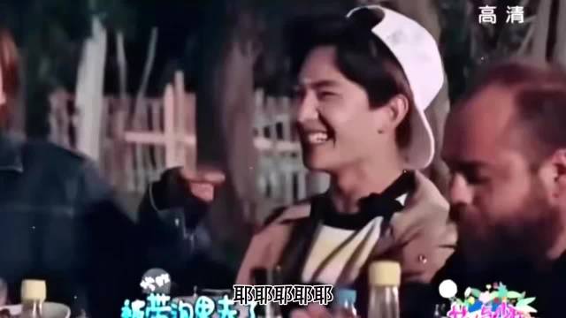 杨洋体验多种职业，带队掌勺击球推拿全能