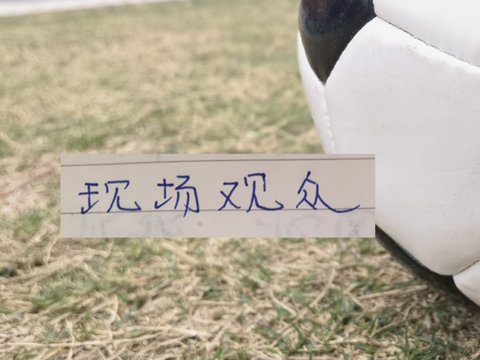 第22轮现场观众！北京国安工体上座率不敌大连英博梭鱼湾