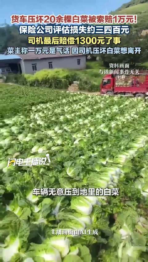 20棵白菜菜主称索赔1万是气话