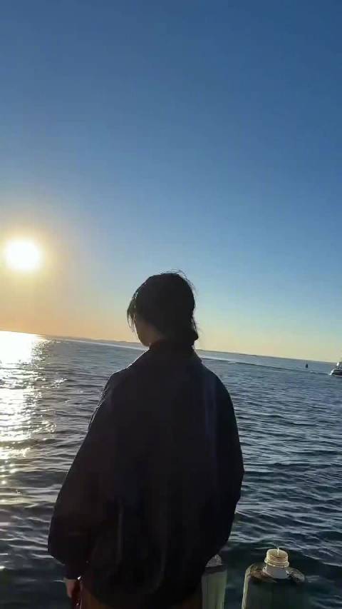 高圆圆纽约vlog展现真实松弛感