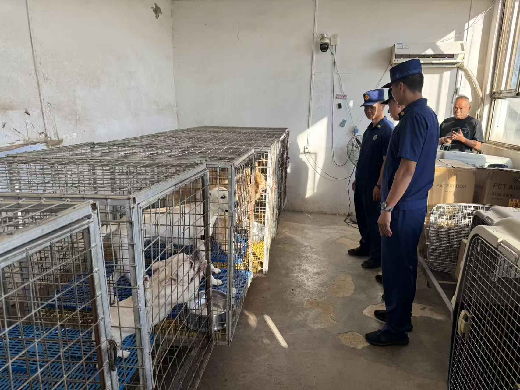 顺义消防为中国首届搜救犬世界杯保驾护航 顺义消防为中国首届搜救犬世界杯保驾护航
