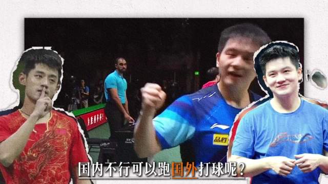 能打为什么不去国外打，樊振东能去德甲，张继科怎么就不行？…