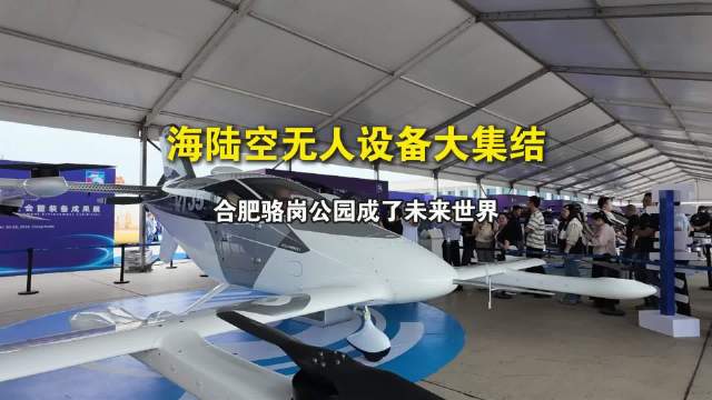 海陆空无人机设备大集结 合肥骆岗公园成了“未来世界”