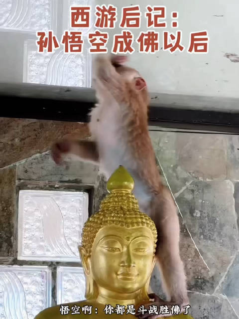 西游后记：孙悟成佛以后