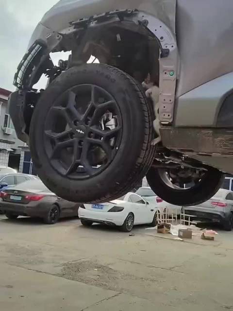 方程猫 像极了我们的人生 一直努力 却原地打转