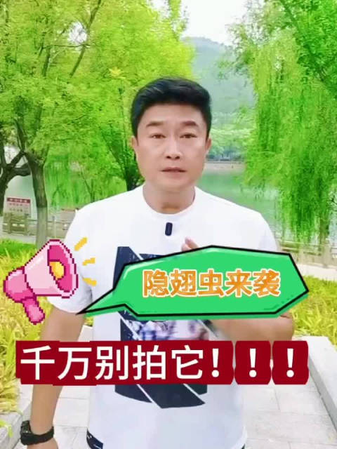 遇到隐翅虫轻轻吹走