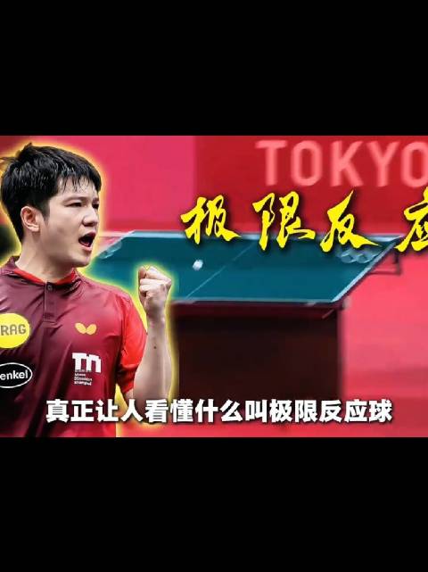 樊振东这一球才真正让人看懂什么叫极限反应