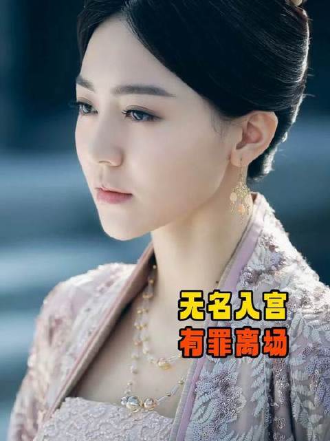 入宫时无名无姓，退场时唯余罪状