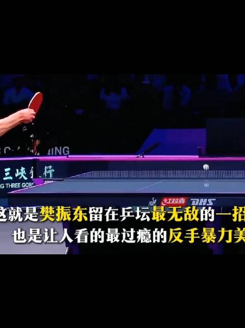樊振东反手绝鲨，莫雷加德直接蒙圈