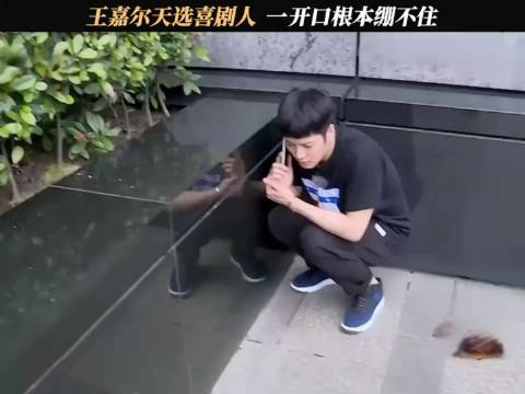 王嘉尔天选喜剧人，一开口根本绷不住