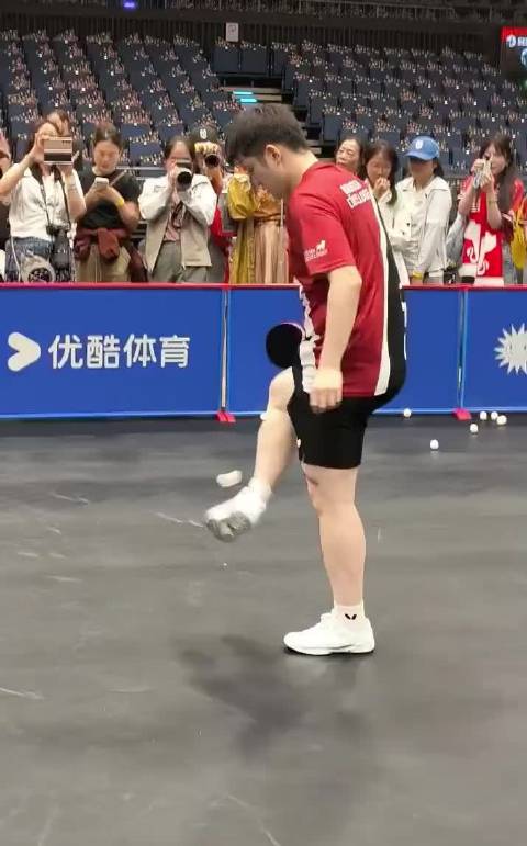 2026.8.22樊振东德甲首秀8日观赛团19