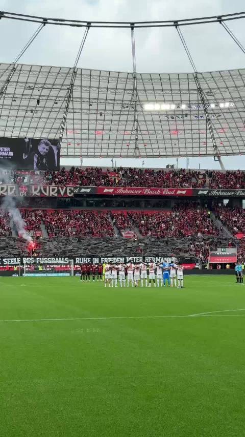 RUHE IN FRIEDEN️ 愿彼得·赫尔曼安息