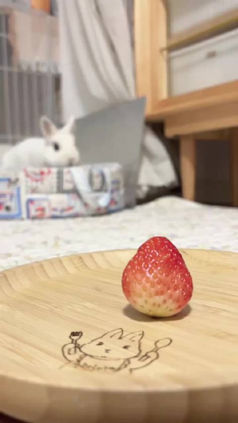 太可爱了，好像吃了它