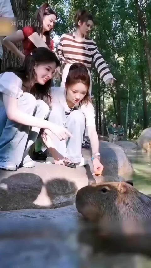 没有小动物能拒绝陈瑶软糯糯的召唤，御兽宗再添圣女！