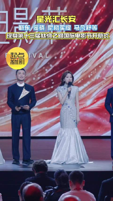 星光汇长安！靳东、窦骁、尼格买提等亮相丝路电影节开幕式