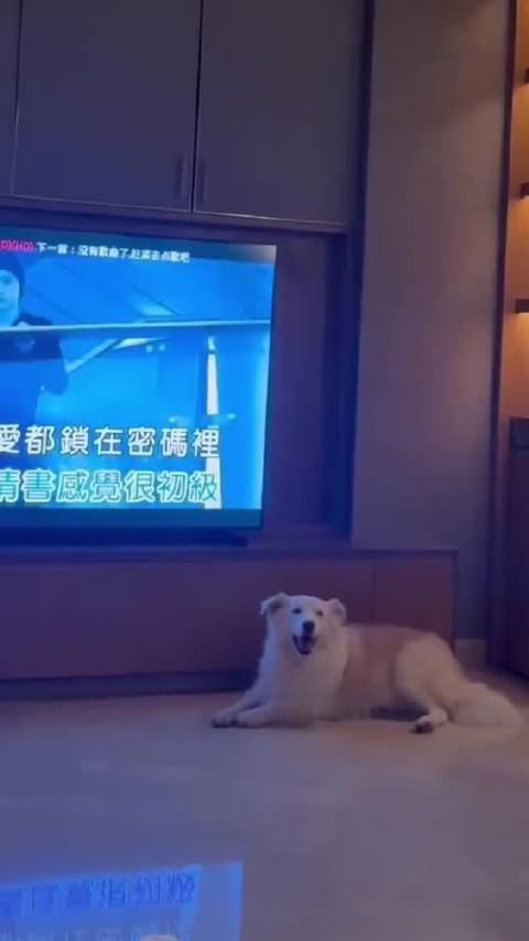 陈哲远歌声独特魅力，粉丝称听其唱歌美妙体验