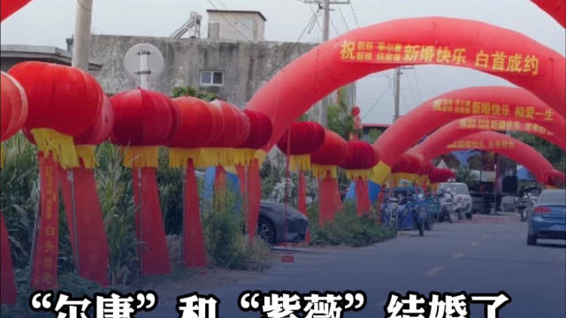 缘分妙不可言
