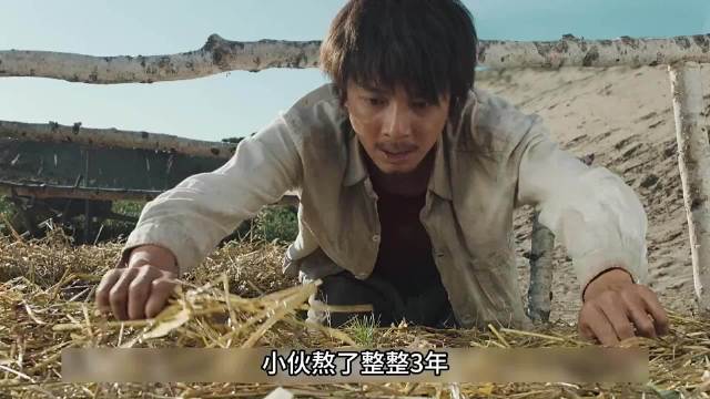 沙漠小伙种树苗，遭大学生拔除