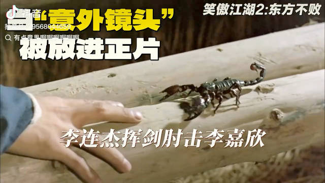 当意外镜头被放进正片！
