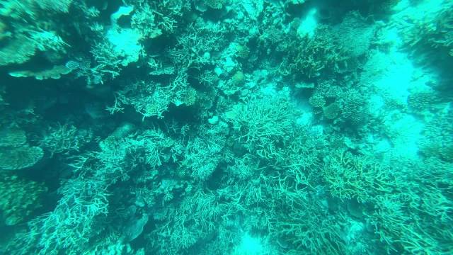 海底总动员