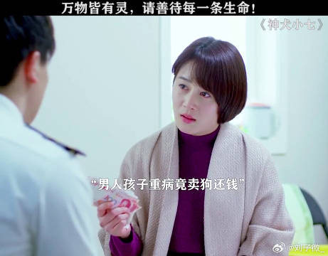 为了孩子的救命钱，男人竟对狗狗下手 郭碧婷 微博VC计划微博VC计划