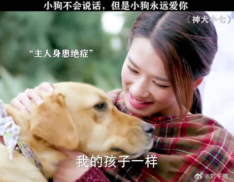 小狗能有什么心思呢，小狗只想一直陪着你 张柏嘉 微博VC计划微博VC计划
