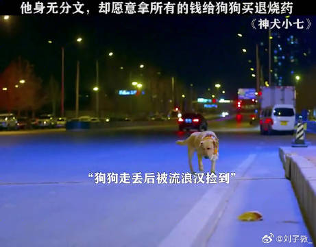 身上连20块都没有，却愿意拿全部家当给狗狗治病 金世佳 微博VC计划微博VC计划
