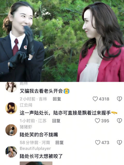 被咬的分明另有其人 陆亦可 高小琴 陆高 人民的名义 柯蓝