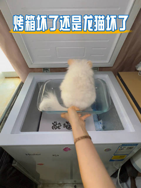 结果发现我烤箱坏了！那我换个食材！