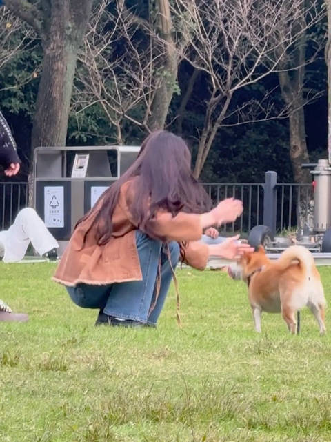 zmy张淼怡黎明前他会归来 zmy张淼怡贝瑶 我不管我还年轻我就要呲着大牙天天乐