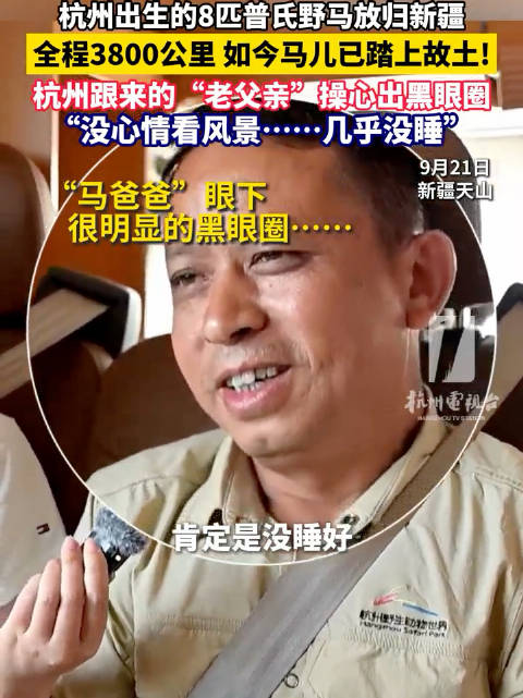 3800公里！护送8匹宝马回新疆饲养员4天不敢睡