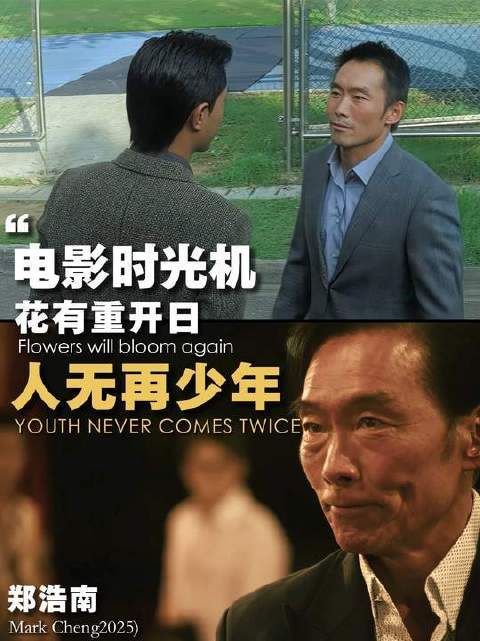 花会再度绽放，少年却不会重来