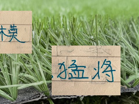 本赛季申花抗伤能力强！五大球员 除了吴曦