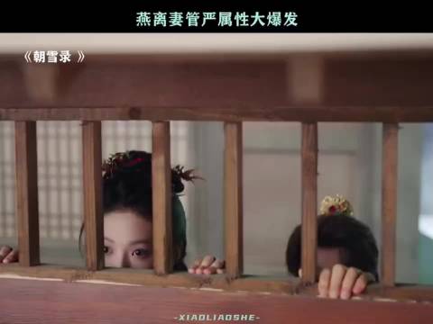 这就是夫妻的默契！朝雪录