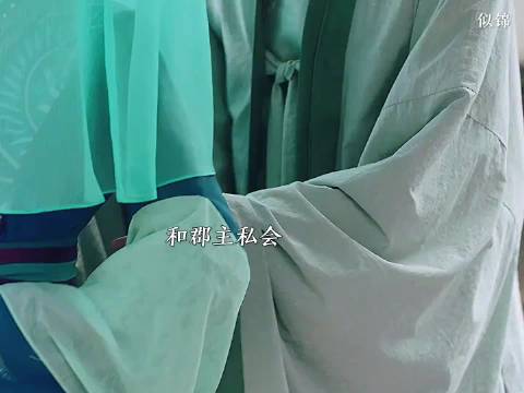 姜似陪同大姐捉奸，大姐果断和离，你觉得这个选择对吗 似锦 景甜 张晚意
