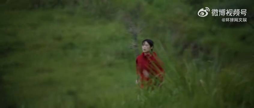 苔花如米小，也学牡丹开