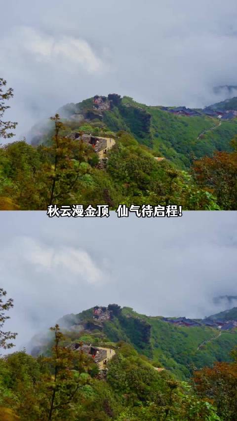 这个秋天登临梵净山金顶秋雾升腾翻涌…
