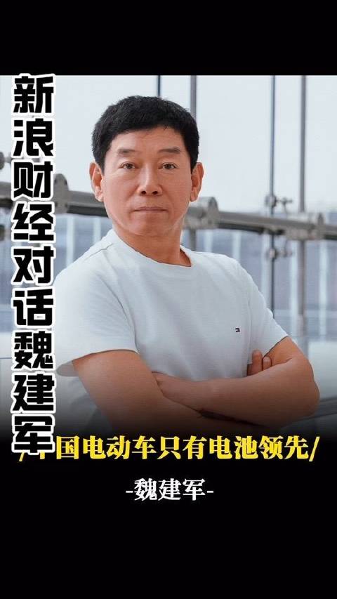 新浪财经深度对话魏建军