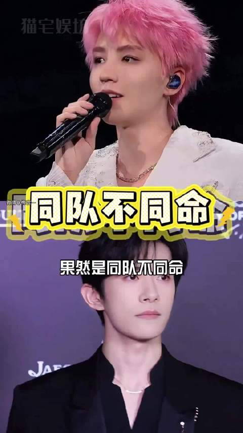 不知不觉都各自顶峰相见了，这才是养成系的天花板吧！