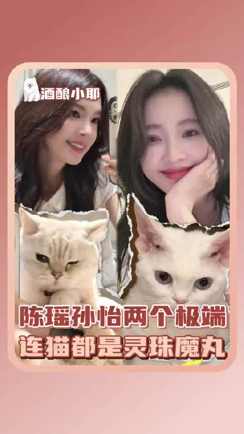 斗胆接一个花少9让我们看看谁会受谁影响更多 我家那闺女｜孙怡｜陈瑶