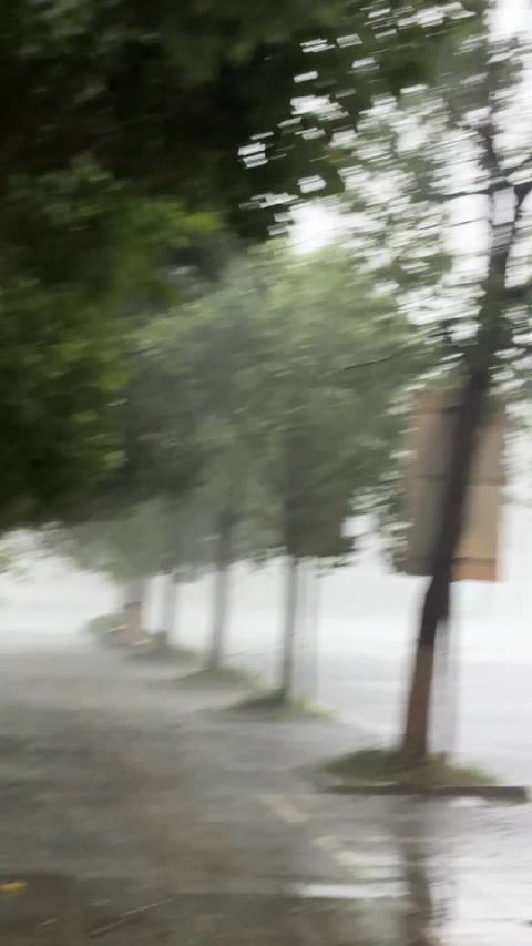 易烊千玺收藏夹细节曝光，毛孩子与晚霞成藏品