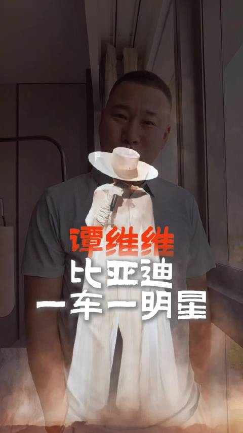 比亚迪2026一车一星，谭维维秦岚王阳曾沛慈登场