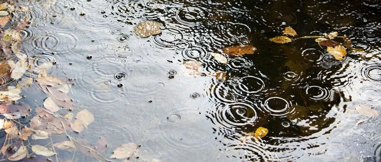 中秋前天气大变！24日起江苏持续阴雨，局部暴雨，多地降温明显