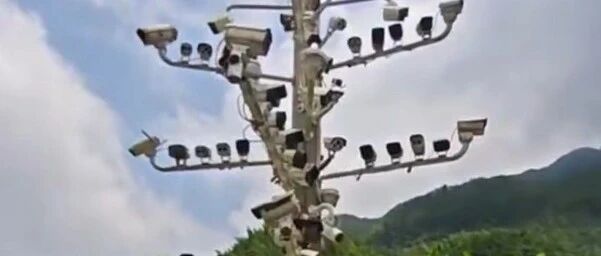 一根杆上84个监控，仅1个可用，83个已报废，网红创意别只玩视觉噱头