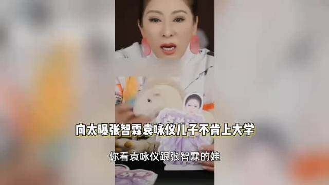 向太聊张智霖儿子不肯上大学，认为可以自学，还想在爸爸演唱会弹吉他