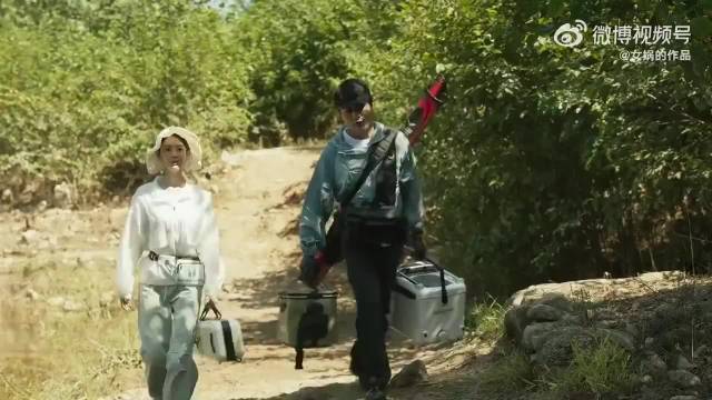 黄振华表现太明显，只要白晓荷回头，他绝对会放弃苏苏