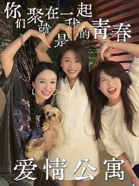爱情公寓久别重逢同框，青春转身轻轻颔首