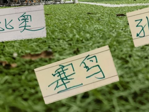 塞鸟因伤退出本期集训 间歇期后一批伤员能康复上场吗